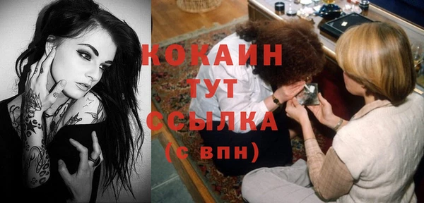spice Алексин