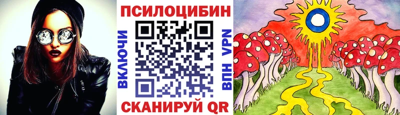 Псилоцибиновые грибы Cubensis  OMG онион  Катав-Ивановск  купить наркотик 